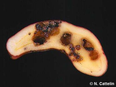 Slug holes Slug holes